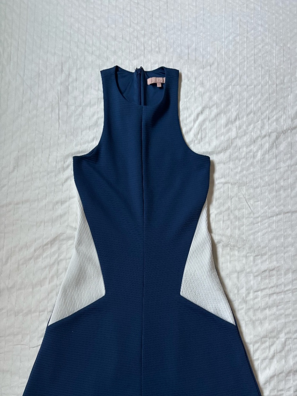Anthropologie Navy and White Sleeveless Fit-and-Flare Dress